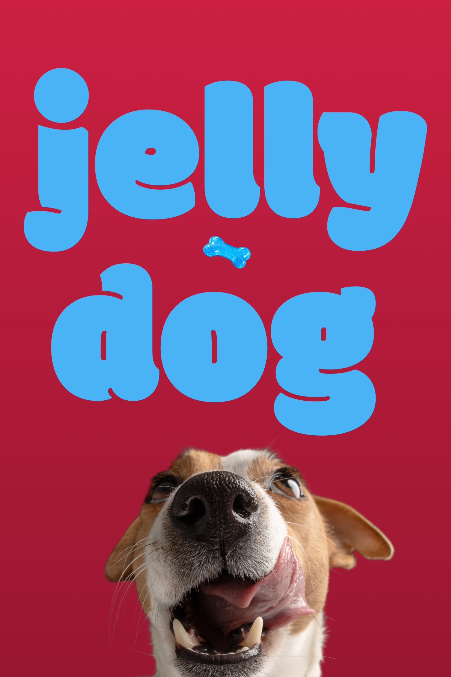 Jelly Dog wordmark with a dog