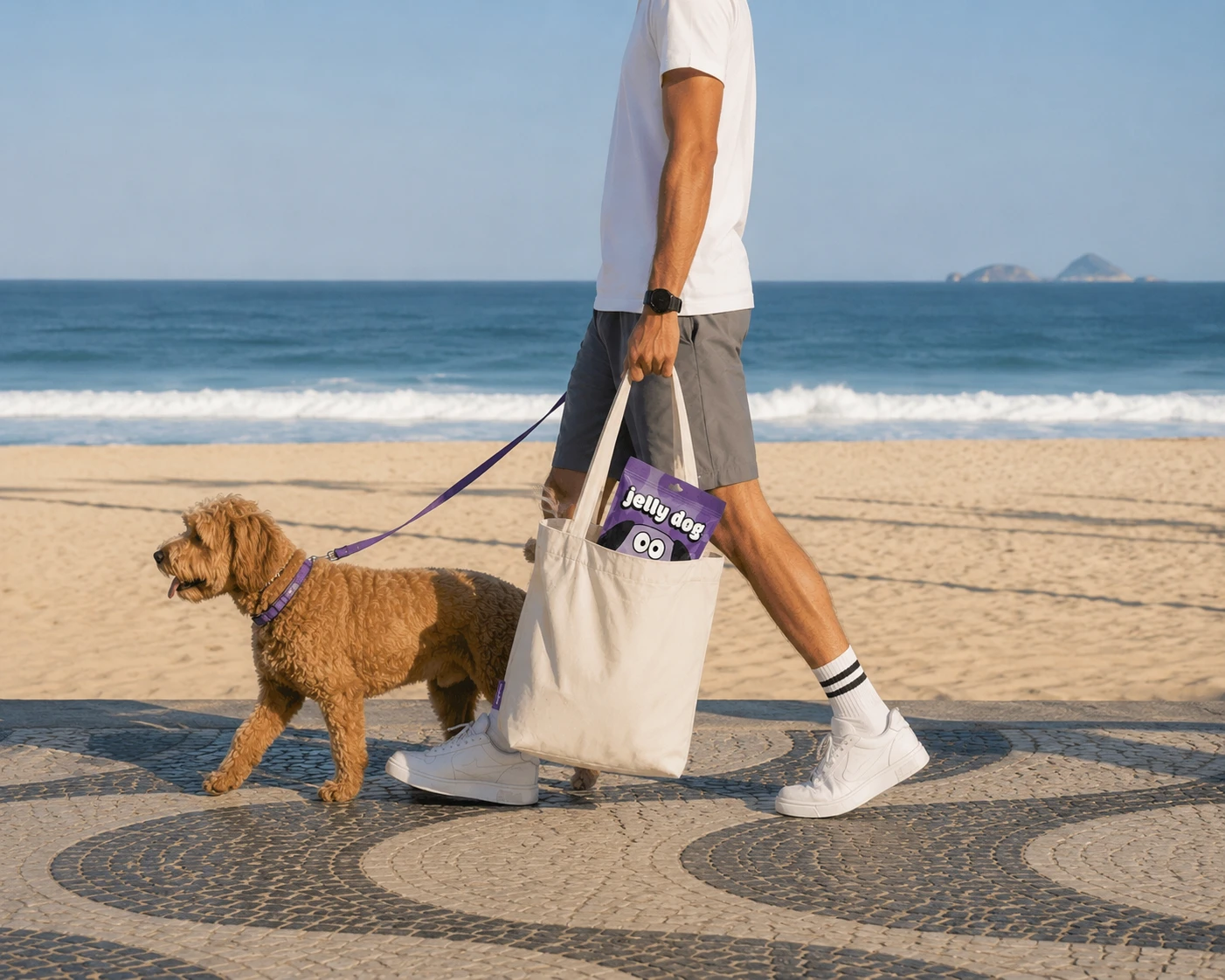 Walking a dog in Rio with the Jelly Dog tote
