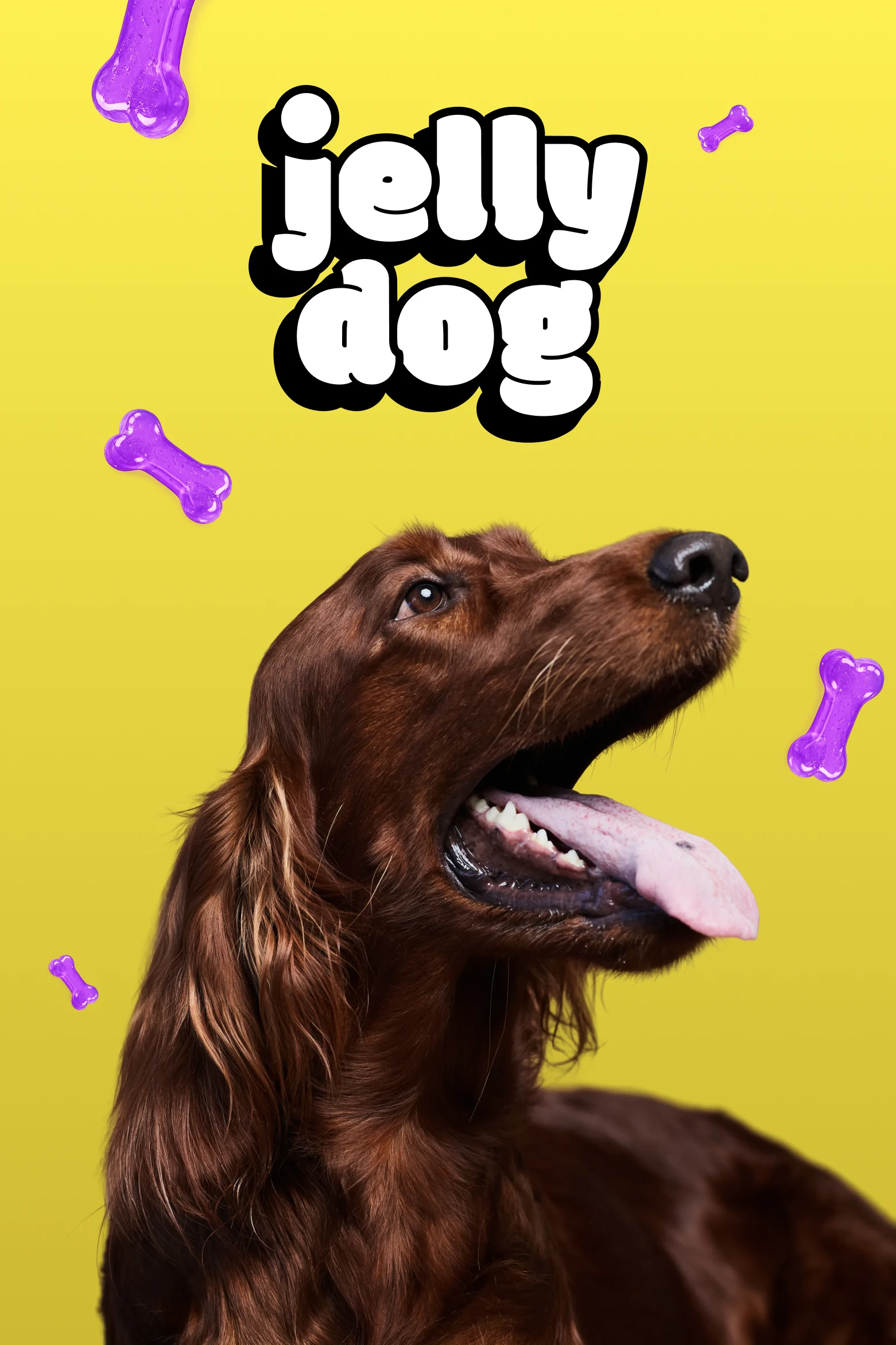 Jelly Dog wordmark with an Irish setter