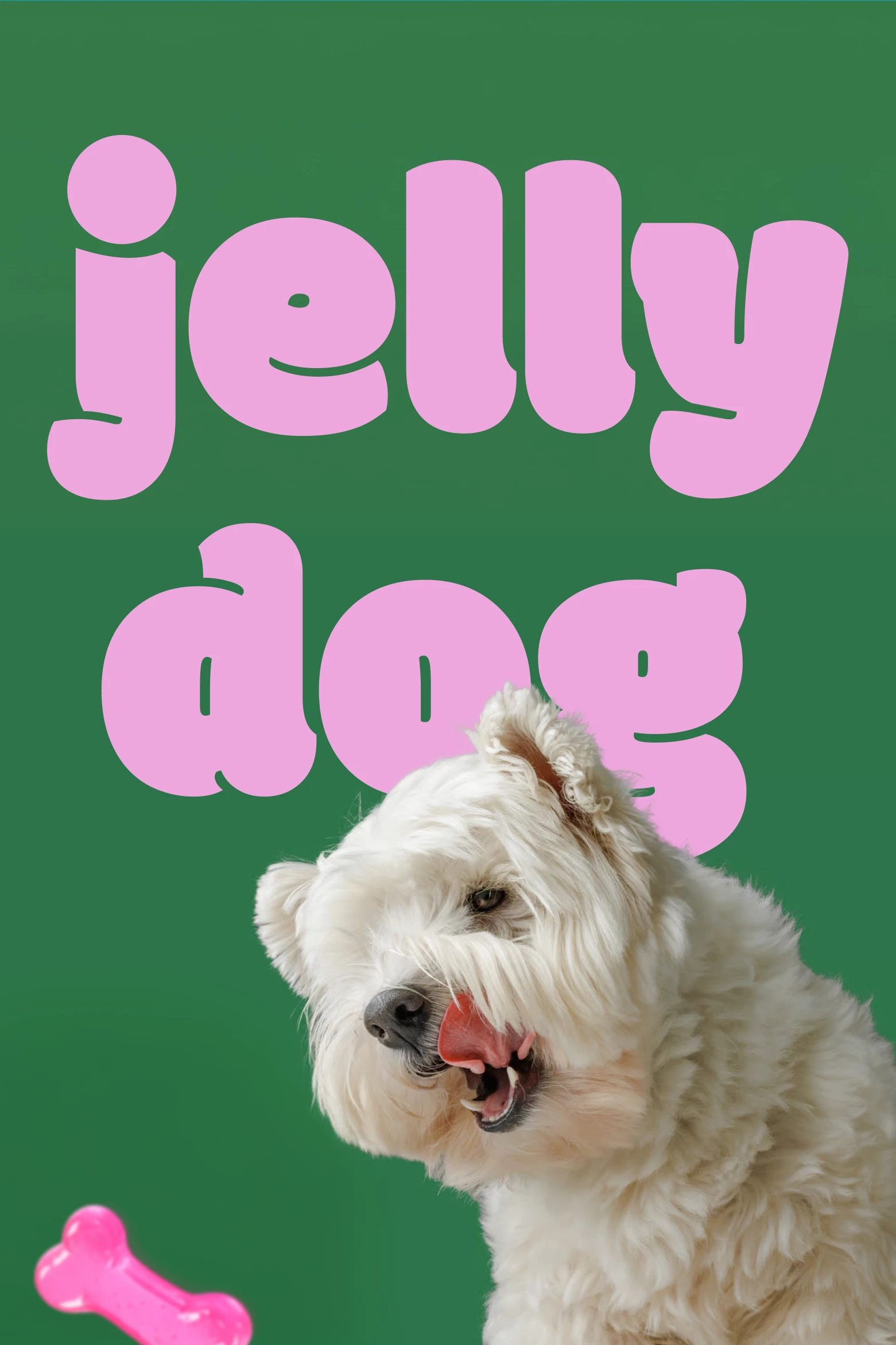 Jelly Dog wordmark with a white dog