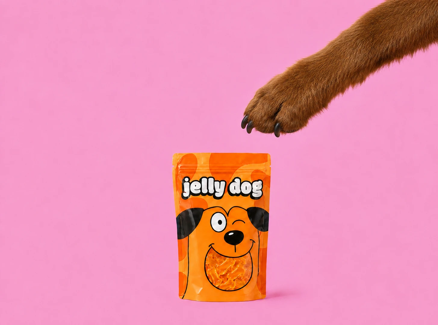 A paw reaching for the Jelly Dog orange pack